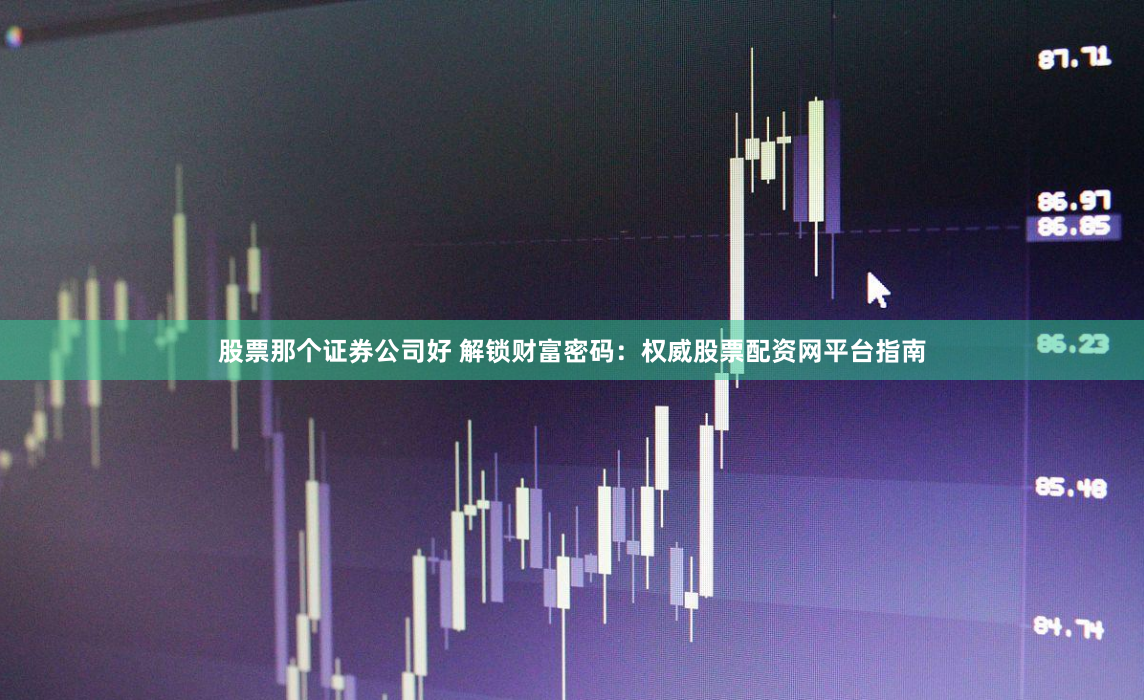 股票那个证券公司好 解锁财富密码：权威股票配资网平台指南
